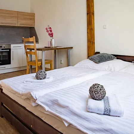 Apartmany Kurojedy Bor Exterior photo