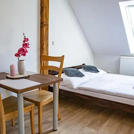 Apartmany Kurojedy Bor Exterior photo