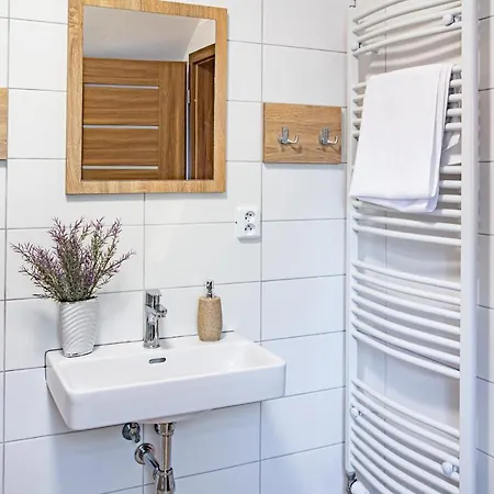 Apartmany Kurojedy Bor Exterior photo