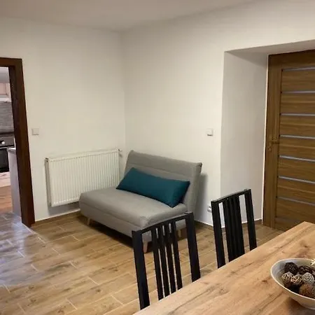 Apartmany Kurojedy Bor Exterior photo