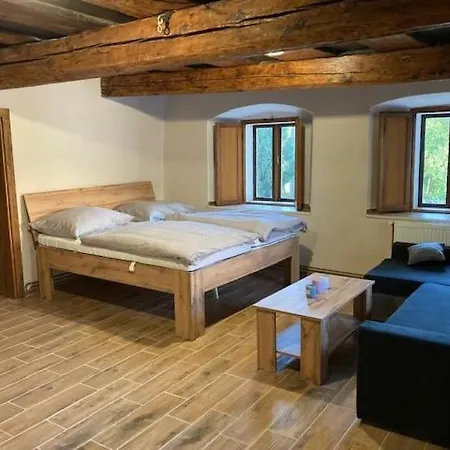 Apartmany Kurojedy Bor Exterior photo